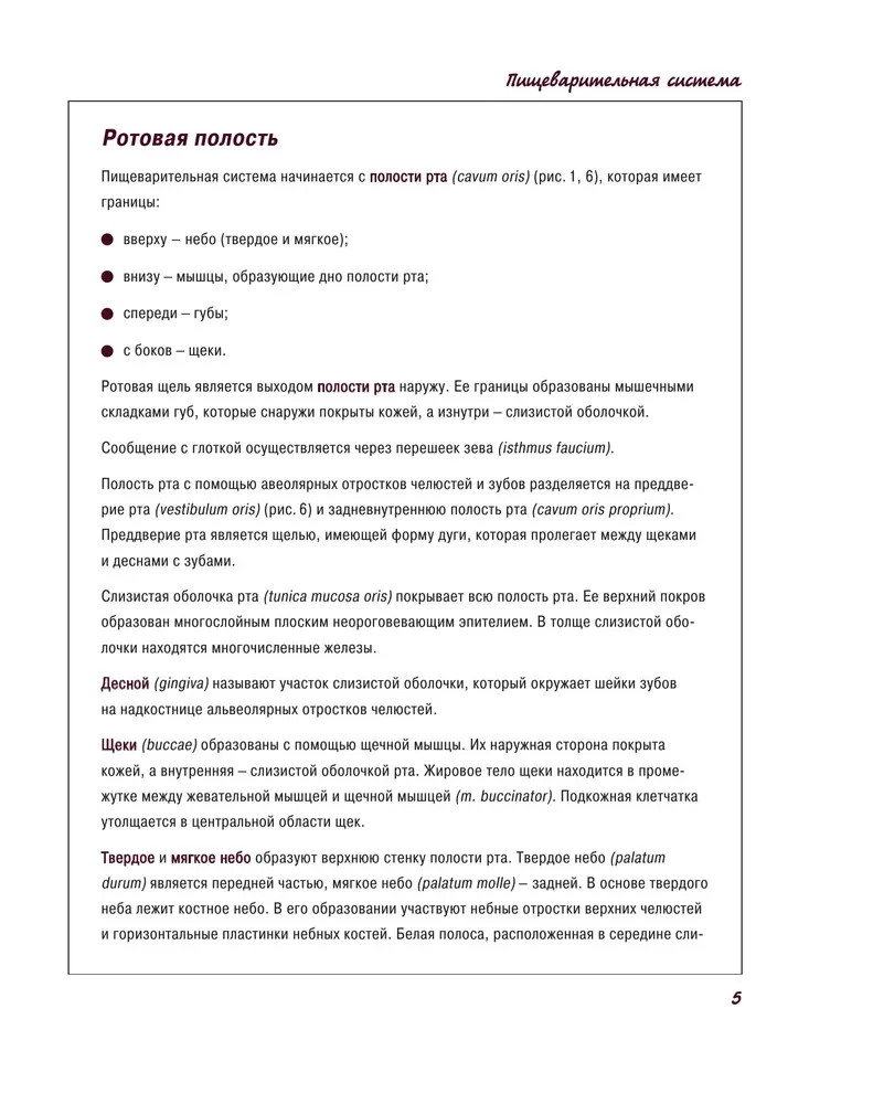 Atlas of Human Anatomy. Digestive System