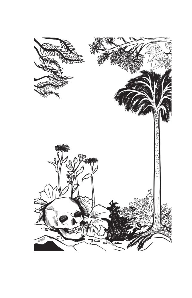 The Botanics of the Anthropologist. How Plants Created Humans. Goodness Gracious