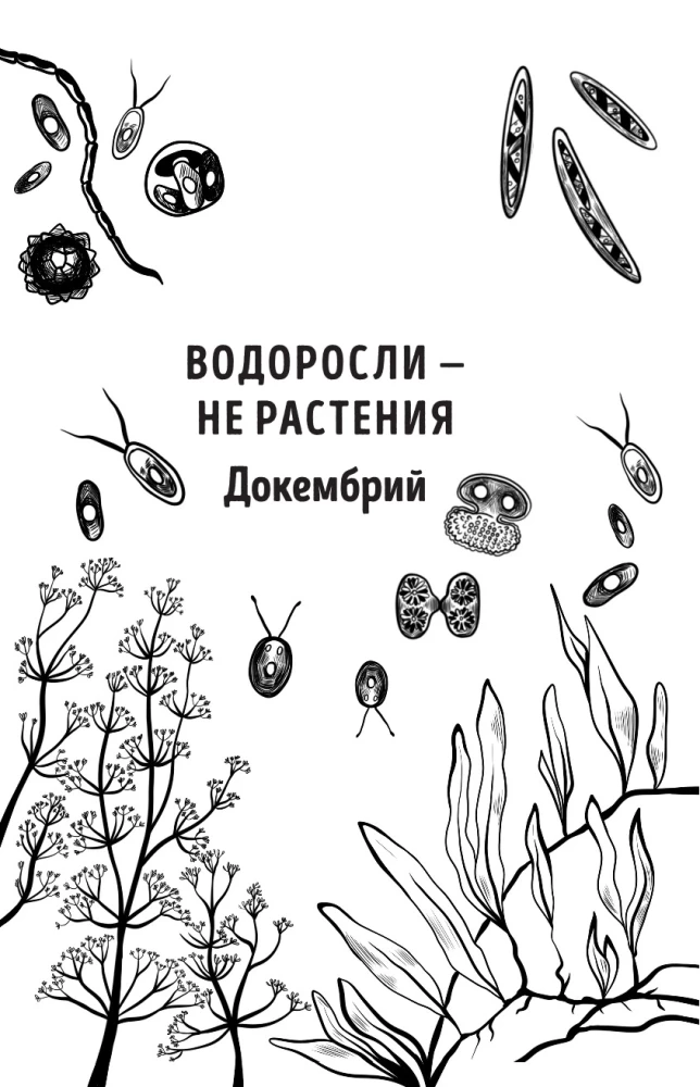 The Botanics of the Anthropologist. How Plants Created Humans. Goodness Gracious