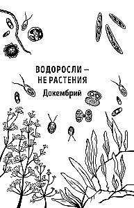 The Botanics of the Anthropologist. How Plants Created Humans. Goodness Gracious