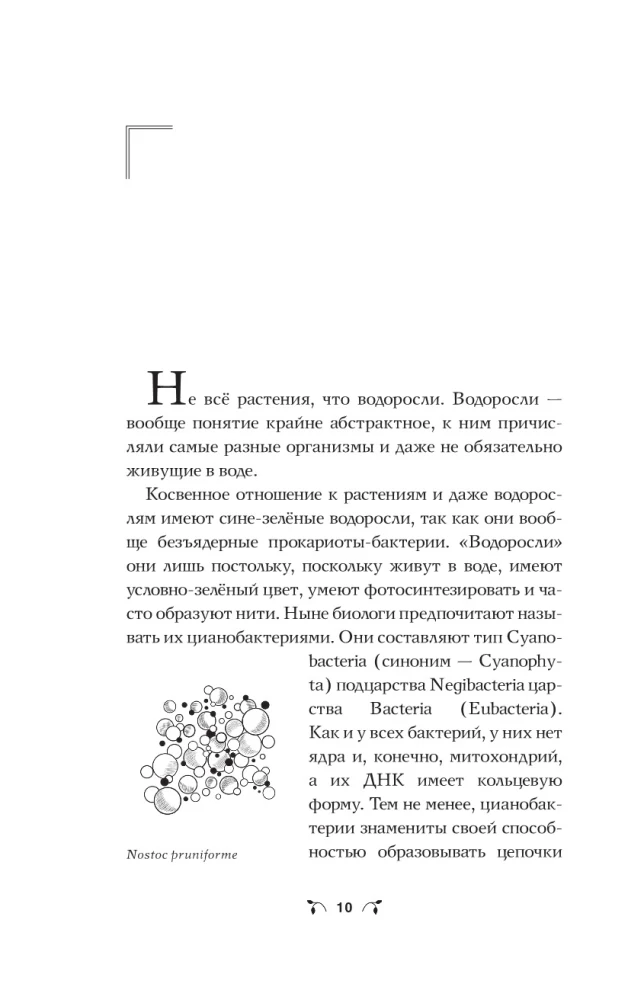 The Botanics of the Anthropologist. How Plants Created Humans. Goodness Gracious