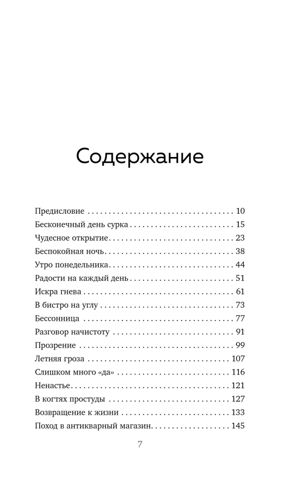 Tagebuch aus dem Antiquitätengeschäft. Es gibt immer eine Chance, sein Leben neu zu schreiben