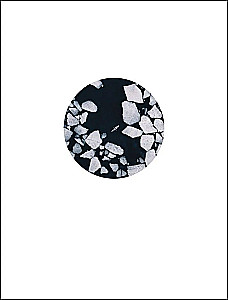 Незабываемые моменты. Всероссийский фотоконкурс Бомбора 2025