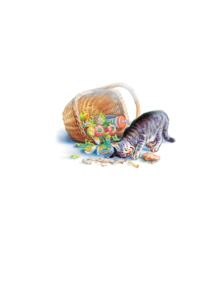 Маруся спешит на помощь. Кошечка. Воробей