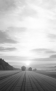 Ko mums vajag laimei? Kā nepavadīt svešu dzīvi