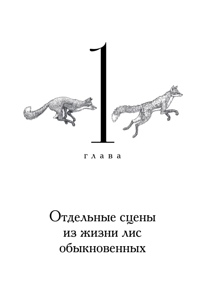 Lapės nestato urvų