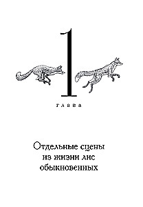 Lapės nestato urvų