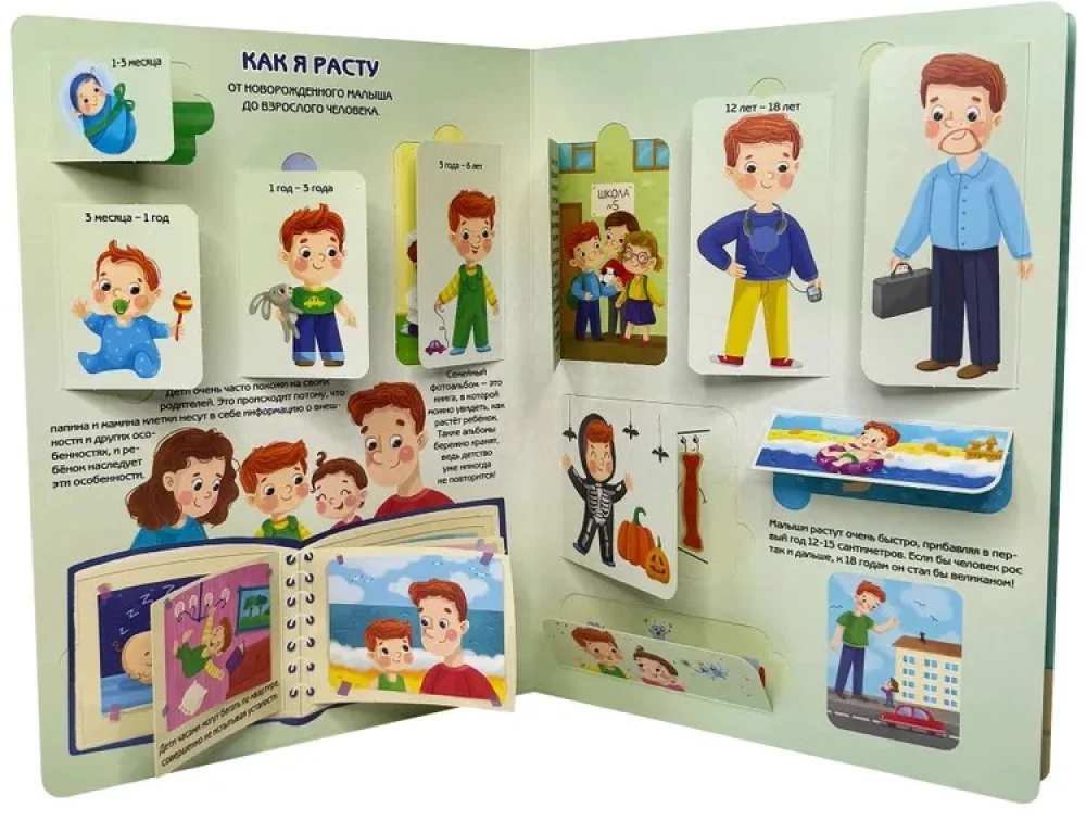 Encyclopedia with Windows. How I Grow