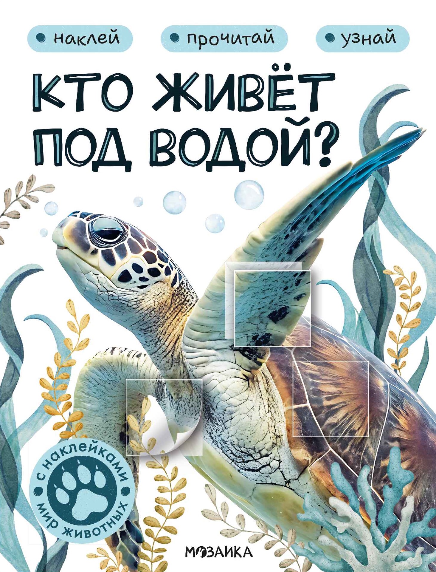 Kto żyje pod wodą?