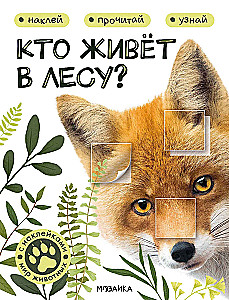 Wer lebt im Wald?