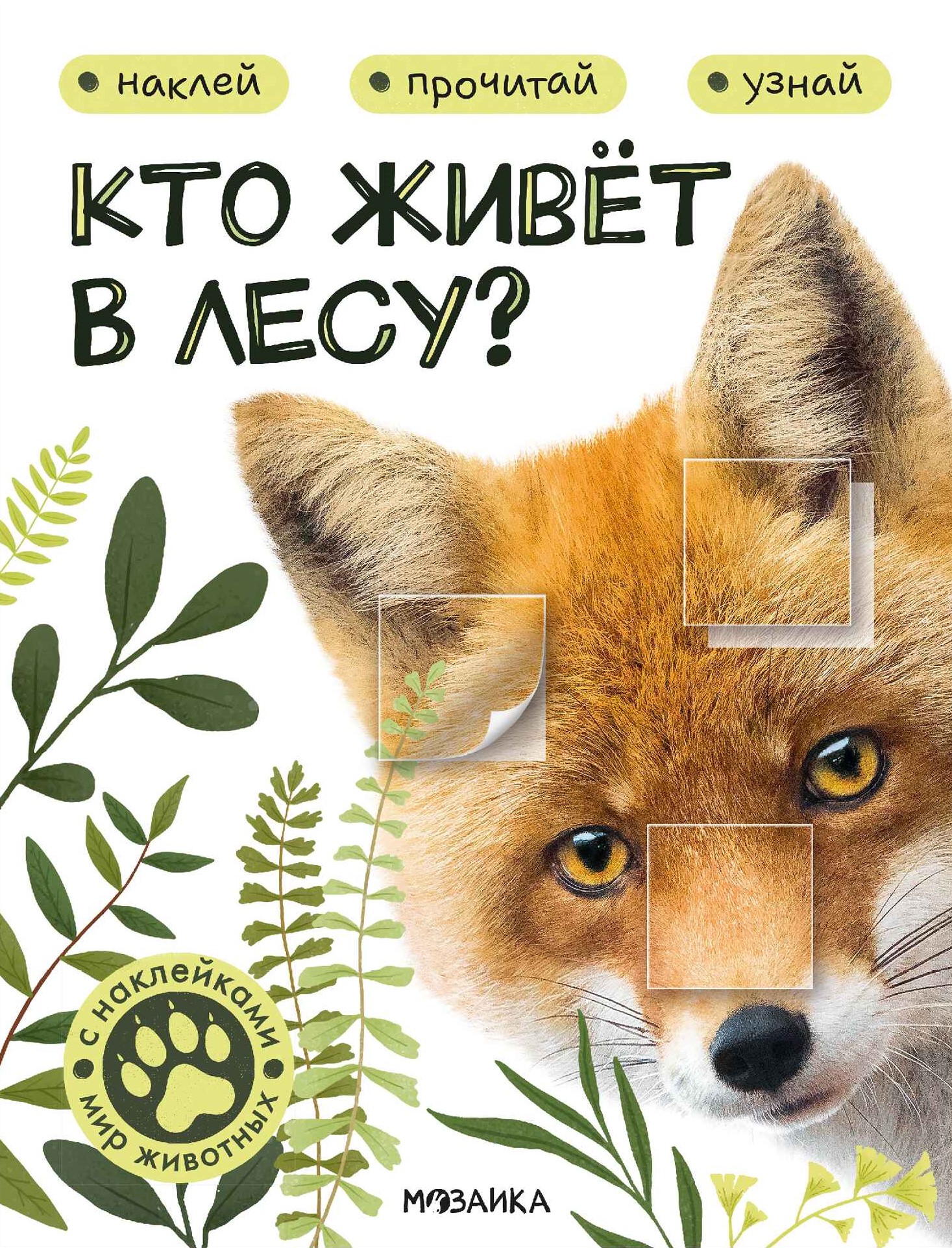 Kto mieszka w lesie?