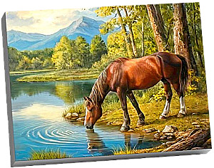 Malerei nach Zahlen - Pferd am Tränke (28 Farben)