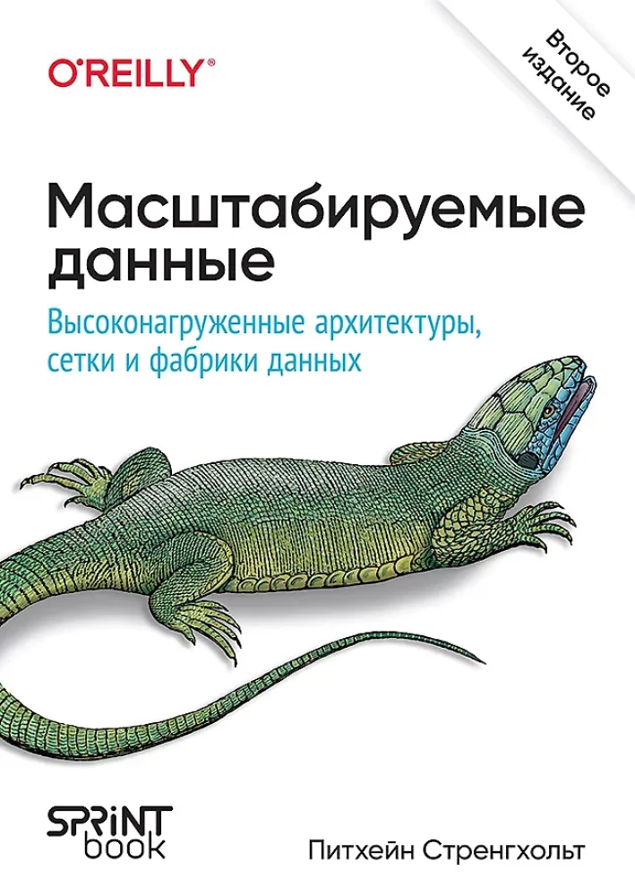 Mastelio duomenys. Didelės apkrovos architektūros, Data Mesh ir Data Fabric