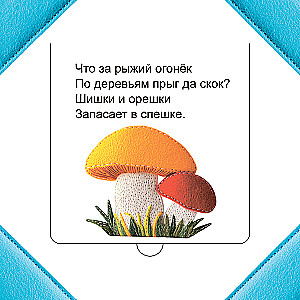 Who is Hiding in the Forest?