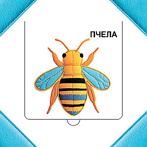 Who is hiding in the grass?