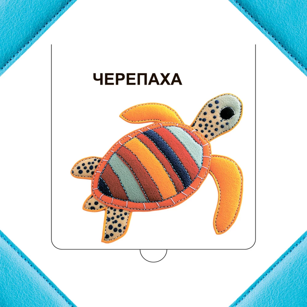 Who is hiding in the sea?