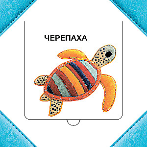 Who is hiding in the sea?