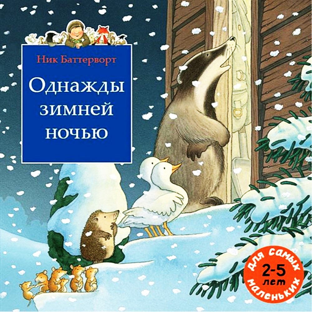 Однажды зимней ночью