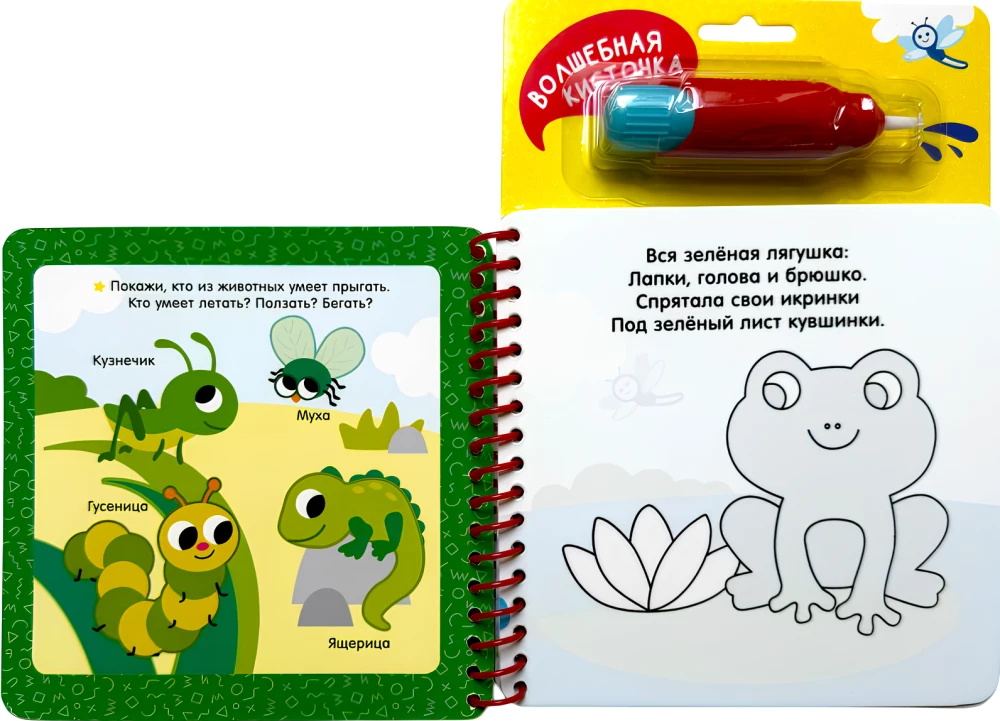 Colors. With Fun Tasks