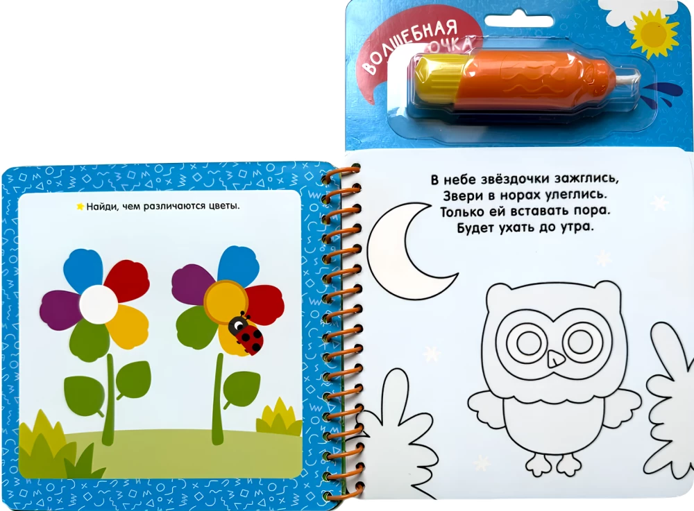 Animals. With Fun Tasks