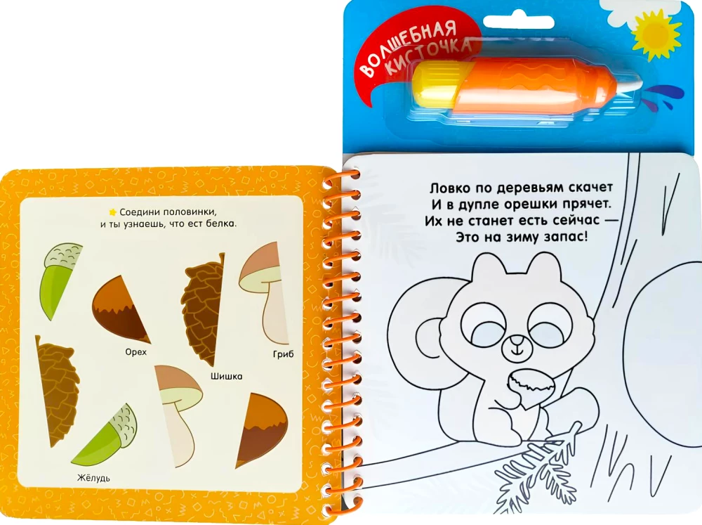 Animals. With Fun Tasks