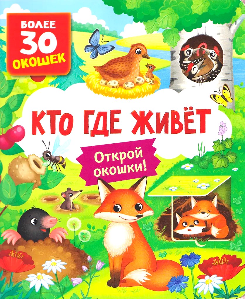 Książki z okienkami. Kto gdzie mieszka