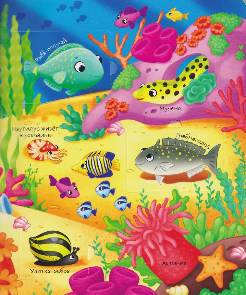 Books with Windows. Who Lives Where