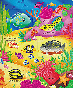 Books with Windows. Who Lives Where