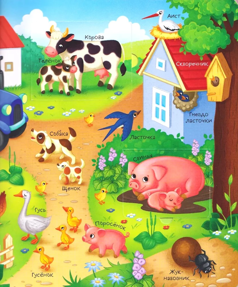 Books with Windows. Who Lives Where