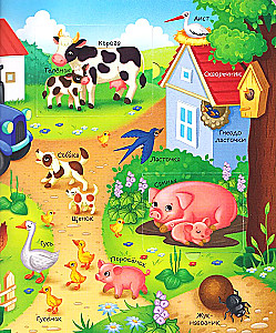 Books with Windows. Who Lives Where