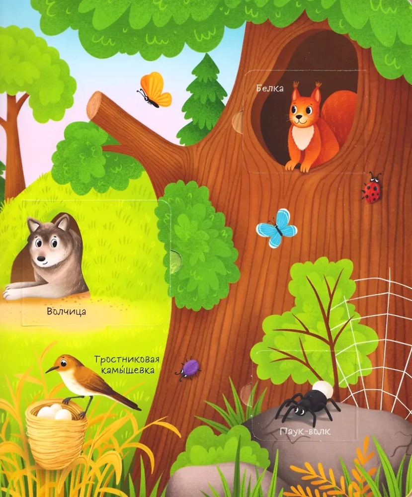 Books with Windows. Mommies and Babies