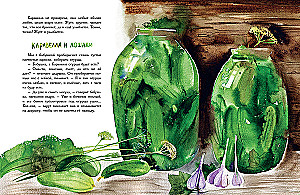 Каравелла и я