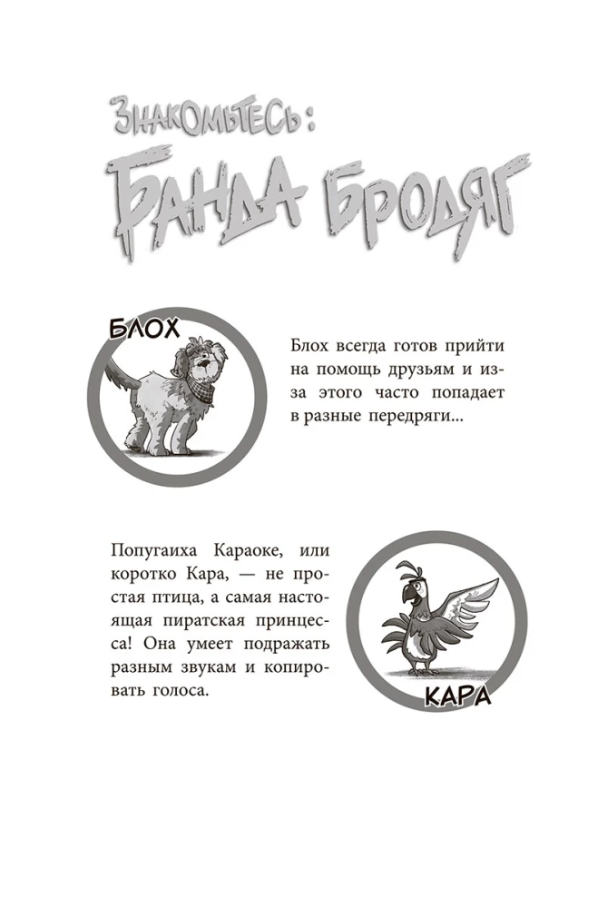 The Gang of Strays: One Paw Washes Another