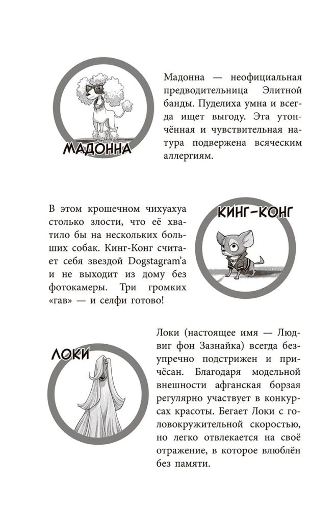 The Gang of Strays: One Paw Washes Another