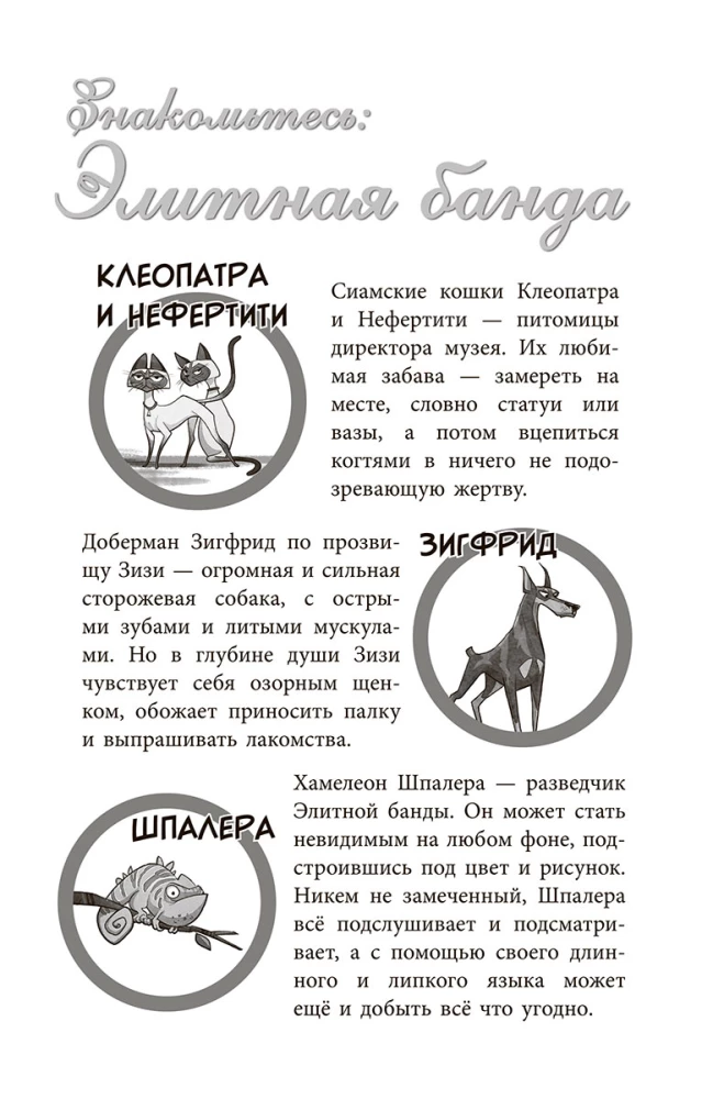 The Gang of Strays: One Paw Washes Another