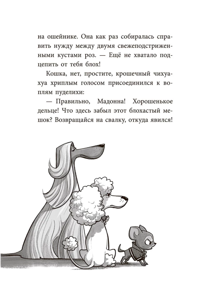 The Gang of Strays: One Paw Washes Another