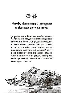 The Gang of Strays: One Paw Washes Another