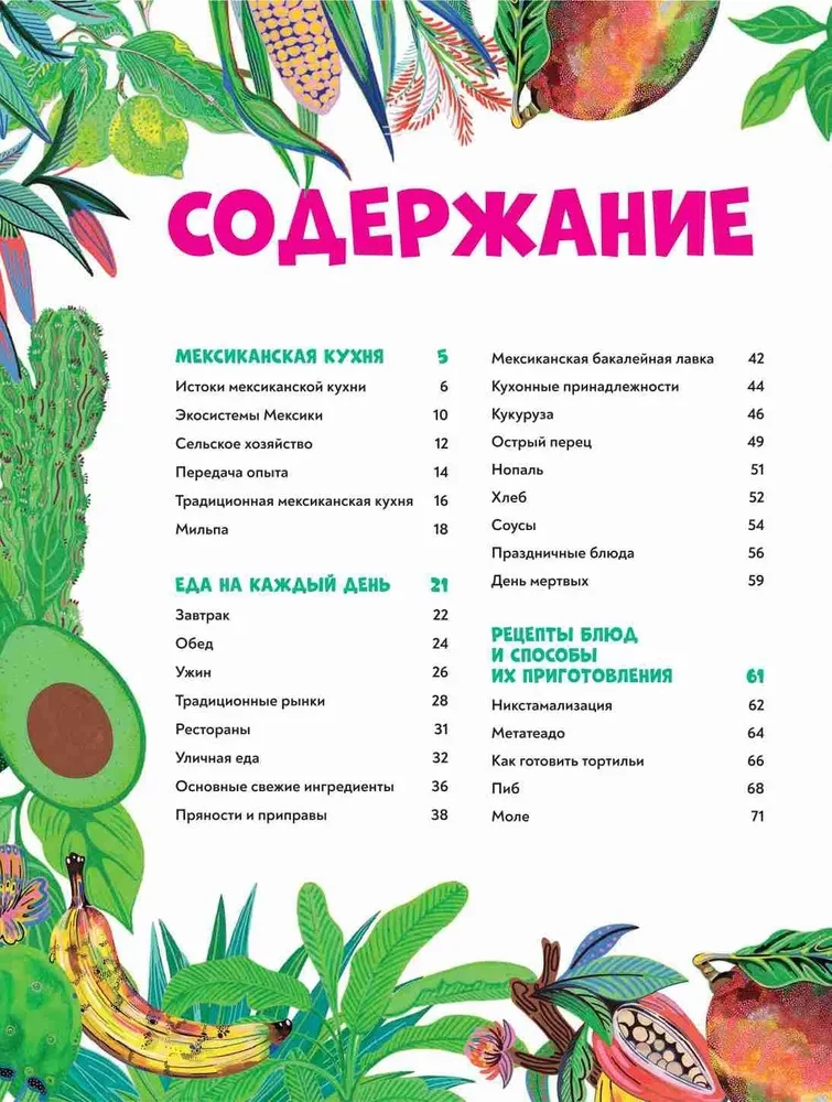 Mexican Cuisine in Illustrations