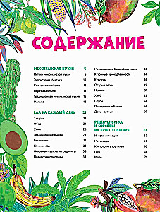 Mexican Cuisine in Illustrations