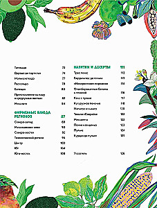 Mexican Cuisine in Illustrations