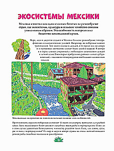 Mexican Cuisine in Illustrations