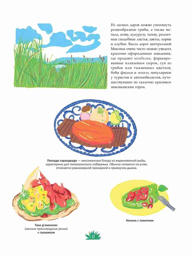 Mexican Cuisine in Illustrations