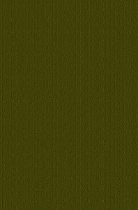 Trzej muszkieterowie