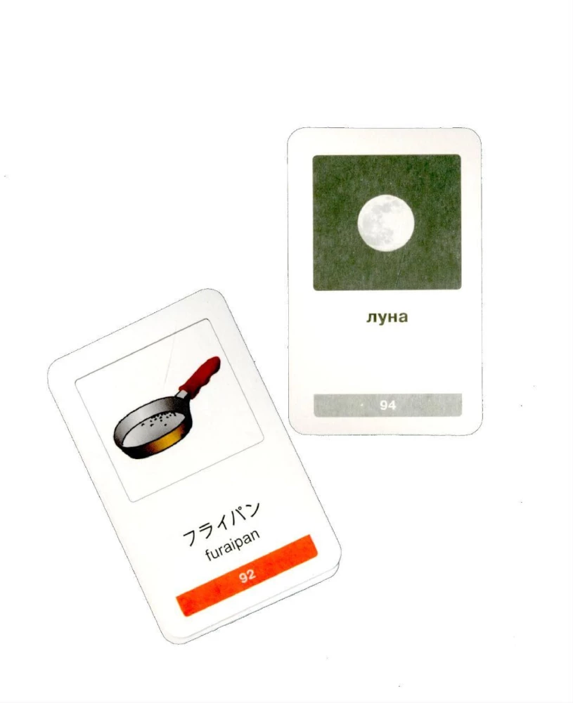 Thematic Cards. My First Japanese Words. 333 Cards for Memorization
