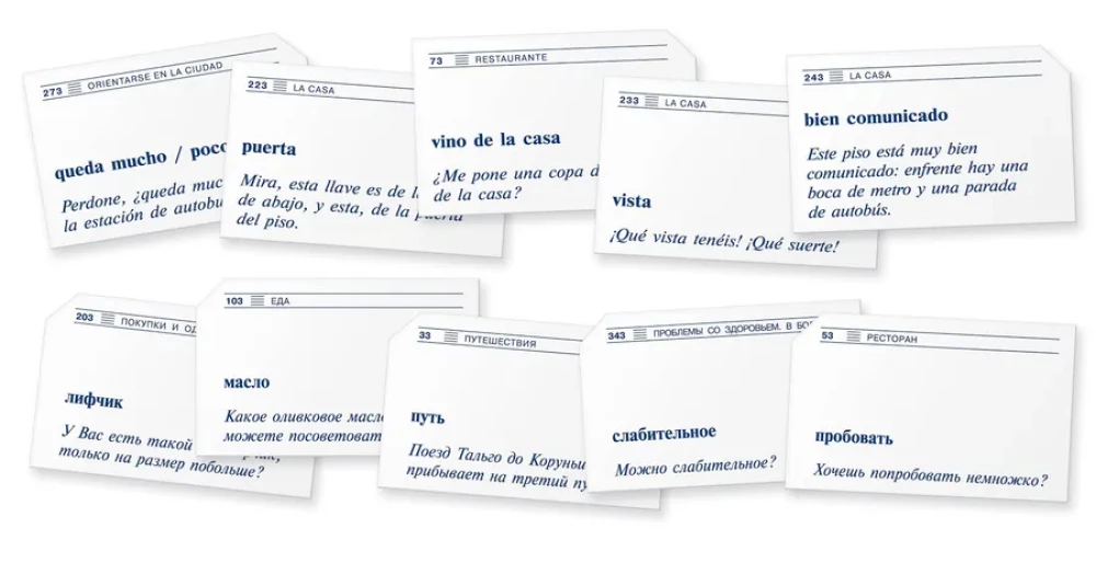 Thematic Flashcards. Spanish Language: 420 Thematic Flashcards for Memorizing Words