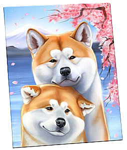 Gemälde nach Zahlen - Akita Inu (12 Farben)