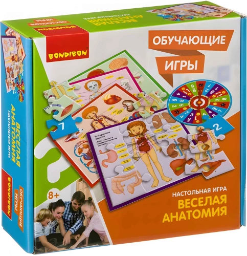 Fun Anatomy - Educational Table Game