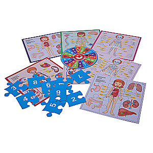 Fun Anatomy - Educational Table Game