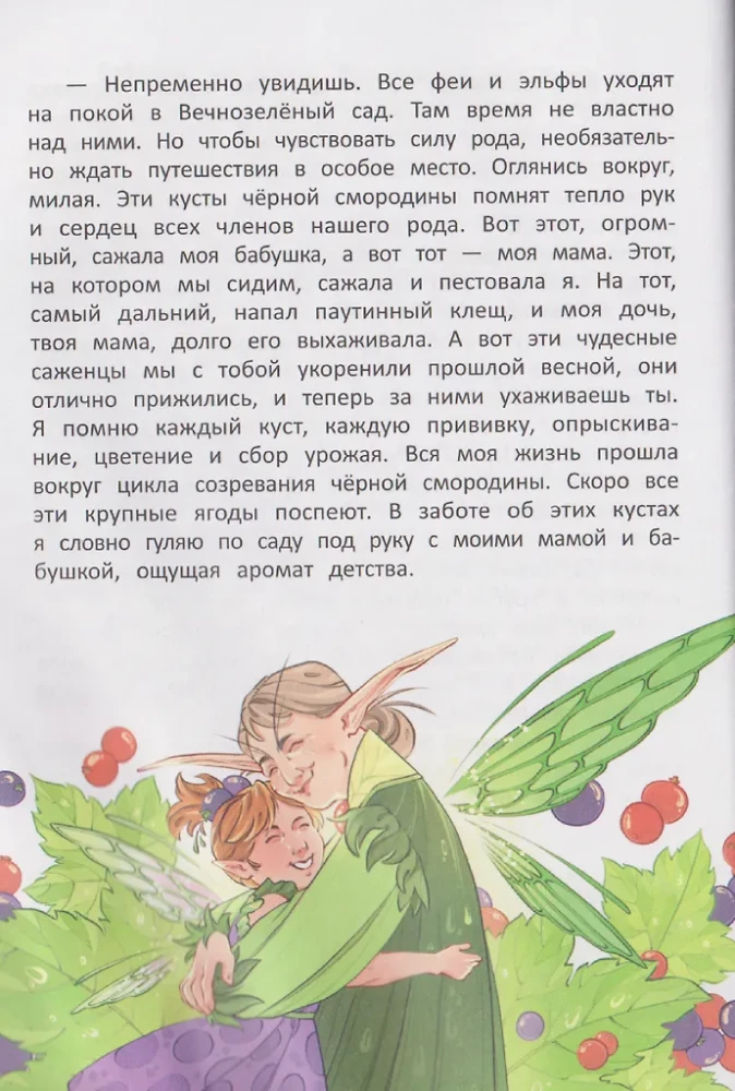 Amžino miško paslaptys