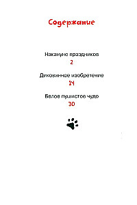 Doktor Kote. Weiße Weihnachtswunder